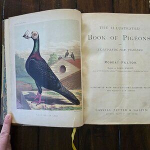 The Illustrated Book of Pigeons with Standards for Judging